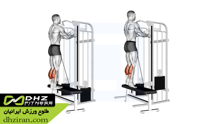 ساق پا ایستاده با سیم کش (Standing Cable Calf Raise): 